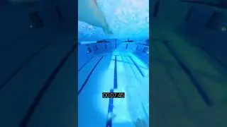 Can you swim 25 meter freestyle faster? #swimming #swimtechnique