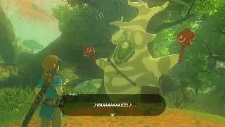 Hestu&rsquo;s Gift All Korok Seeds, &ldquo;The Legend of Zelda Breath of the Wild&rdquo;