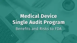 Medical Device Single Audit Program: Benefits and Risks to FDA