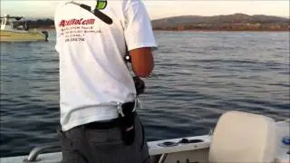 Calico Bass Fishing San Mateo Point