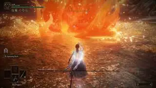 Elden Ring - Malenia vs Nagakiba + Spinning Slash [Solo,NG+7,NoDmg,v1.10.1]
