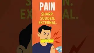 Pain vs Ache vs Hurt &mdash; Use the Right Word! #EnglishTips #LearnEnglish #DailyEnglish #ytshorts