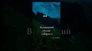 Ас саламу алейкум #сунна #напоминание #коран #ислам #рекомендации #asmr #funny #shorts