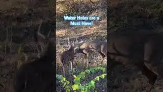 Water Holes are a Must Have on a Whitetail Property!