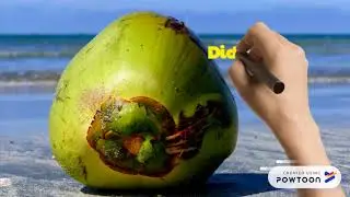 Coconut Day | September 2 |Facts and Info