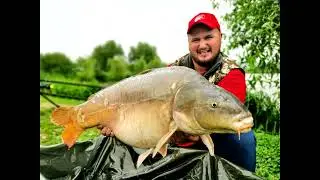 Costi Cool Baits - La Balta OTTO