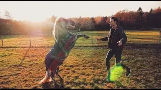 MY PONY MELTING YOUR HEART FOR 1 MINUTE STRAIGHT
