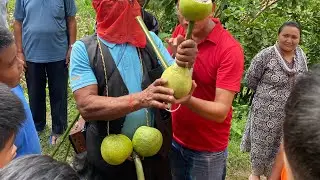 Dhading गाई निकाल्ने चलन (गाईजात्रा)