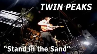 Twin Peaks perform 