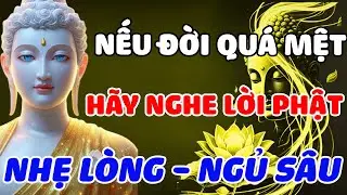CHỈ 15 PHÚT NGHE PHÁP TRƯỚC KHI NGỦ - BÍ QUYẾT BUÔNG BỎ KHỔ ĐAU, TÂM AN NHƯ NƯỚC, NGỦ NGON ĐẾN SÁNG
