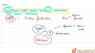 Explain the zygote intra fallopian transfer technique ZIFT. How is intrauterin e transfer technique