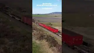 #music #nohabgm #obbrailcargo #trainspotting #trains #traintok #hungary #SiemensMobility #NOHAB
