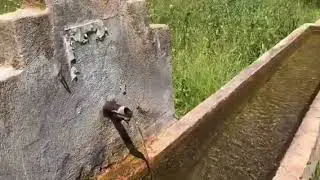 Camiliyayla Bozüyük