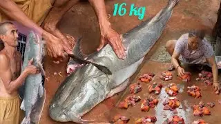 Gooch Fish Cutting | Fish Cutting Skills Nepal
