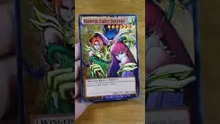 Harpie Lady Sisters Gilded Full Art Card
