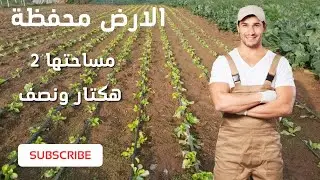 20  كلم من الرباط العرجات الارض محفظة مساحتها( 2 هكتارات ونصف ) بصور اخر تمن 260 مليون 212661247058