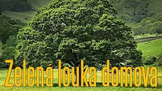 Zelená louka domova