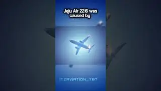 Animals can't cause crashes? #shorts#fyp#viral#trending#aviation#airplanes#capcut#edit#plsgoviral