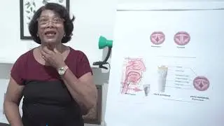 Mudan&ccedil;a de voz de meninos e meninas