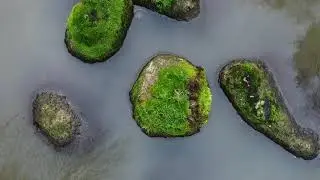 Drohnen Flug Allertshofen im Odenwald