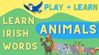 Learning Irish: Animals! - Play + Learn