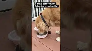 Travel dog bowl with collapsible water bowl lid. #petlife #dogbowl #dogfeeder #dogaccessories
