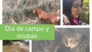Vlog:4 paseo por el campo y ocupas ❤️