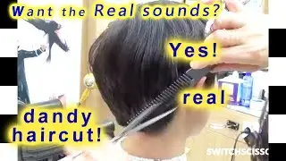 창원시진해구)Dandy haircut ASMR