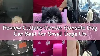 Review Cullaby Center Console Dog Car Seat for Small Dogs Under 15 lbs - Detachable Washable Carrier