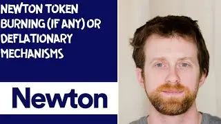 Newton token burning if any or deflationary mechanisms