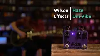 Wilson Effects Haze Uni-Vibe - DMTR Pedal Shop #быстрообзор