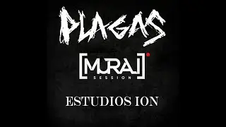 PLAGAS D.C - 