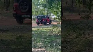Mahindra Thar 4WD Jungle Adventure | Car Camping #thar #carcamping #overlanding