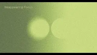 Reappearing Focus / Synaesthesis / Gaida Festival