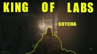 King of labs: Escape from tarkov