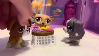 LPS Highschool Chronicles | EPISODE 1: Home Life 🏡