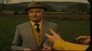 The Shamrock Symbol Of Ireland 1984