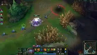 Nidalee vs zed