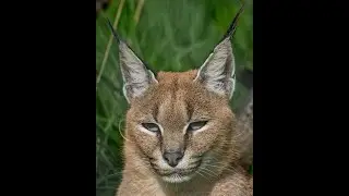 Uk Exmoor