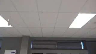 slow motion flying pig circular motion lab - airplane