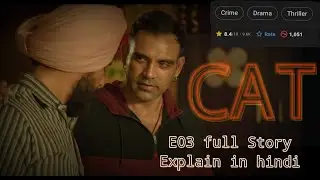 Cat|E03|(Panjabi) Explain In Hindi|Series ExplainUS