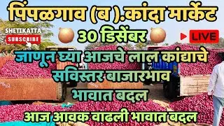 30 December लाल कांद्याची आवक वाढली,भावात बदल,जाणून घ्या आजचे भाव #pimpalgoankandamarket 