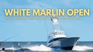 White Marlin Open 2024 Highlights | Ocean City&rsquo;s Biggest Fishing Tournament #ocmd  #michaeljordan