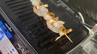 The Deluxe Electric Grill and Griddle!                #sidehustlewithheart #pamperedchef #foodlover