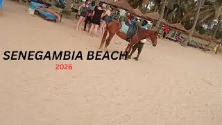 Beach Life In Gambia: SeneGambia Beach Is Always Hot.