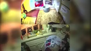 Police remove rattlesnake from Walnut Creek kitchen