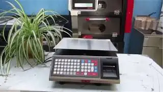 Tutorial bascula