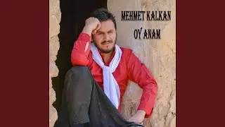 Oy Anam
