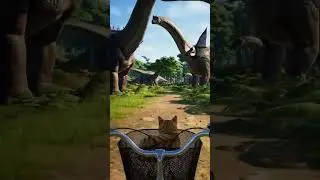 time traveling cat #cat #adventure #action #fantasy