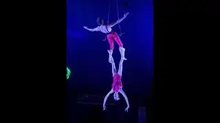 Knotted N' Art Aerial Trapeze duo at Happy's Circus